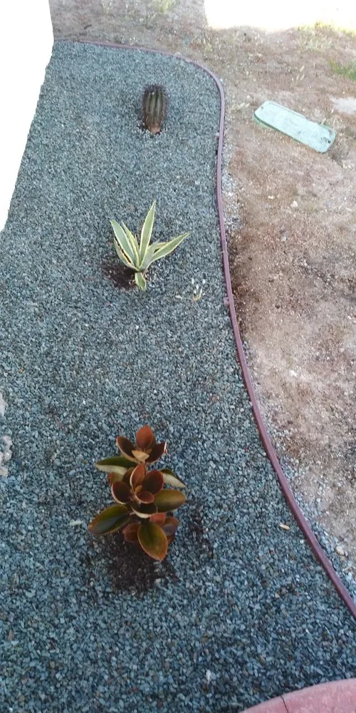 Expert garden landscaping for beautiful yards in Tecate, CA by Bc Landscape & Tree Experts