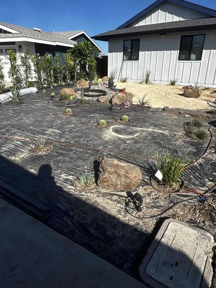 Top-rated yard maintenance in Tecate, CA by Bc Landscape & Tree Experts