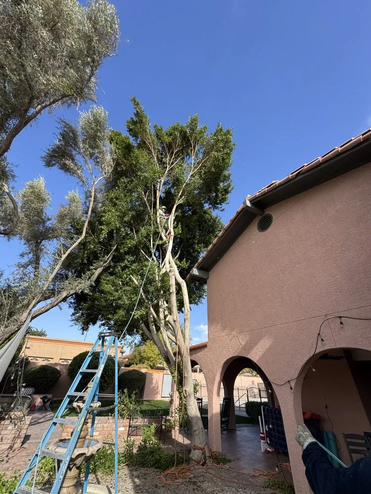 Expert landscape installation experts serving Phoenix, AZ - BC Landscaping and Hardscape