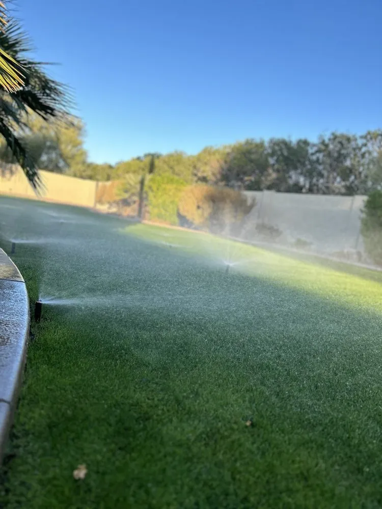 Expert yard maintenance in Phoenix, AZ - BC Landscaping and Hardscape