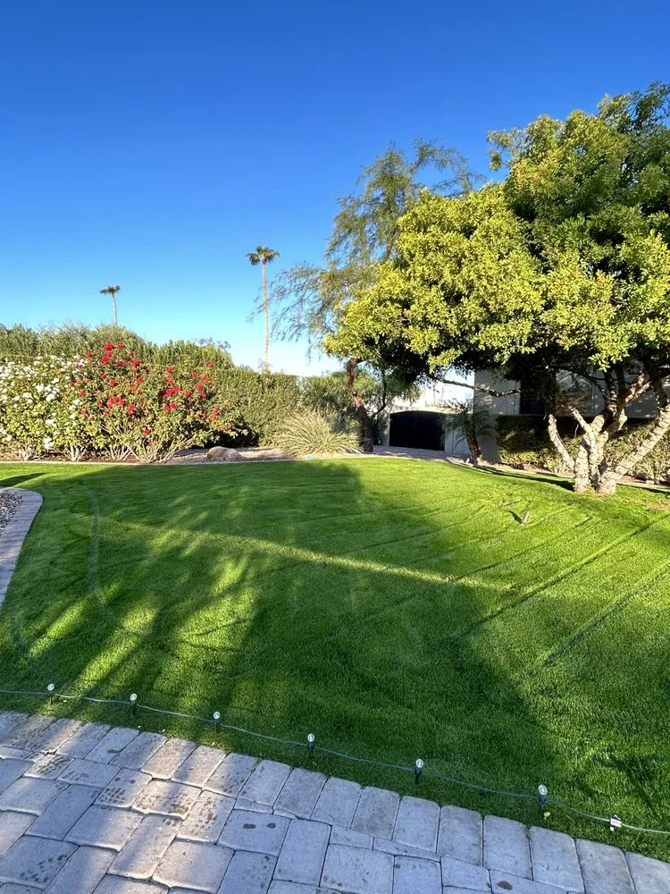 Affordable outdoor landscaping in Phoenix, AZ - BC Landscaping and Hardscape