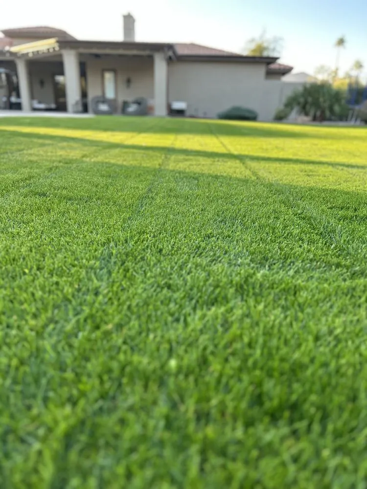 Top-rated yard maintenance with custom design across Phoenix, AZ - BC Landscaping and Hardscape