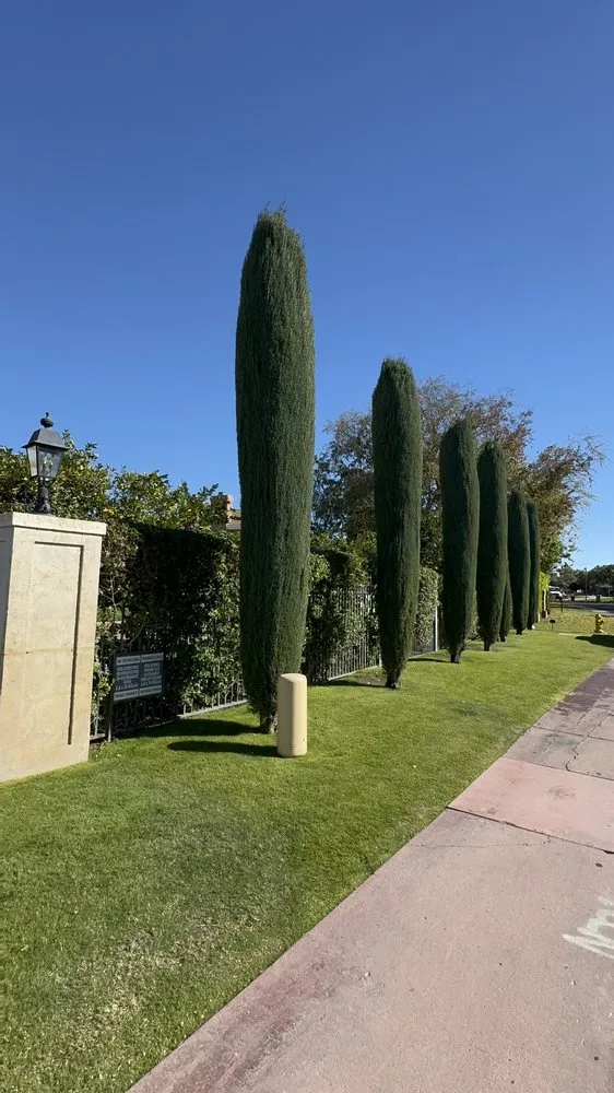 Trusted landscape design experts serving Phoenix, AZ - BC Landscaping and Hardscape