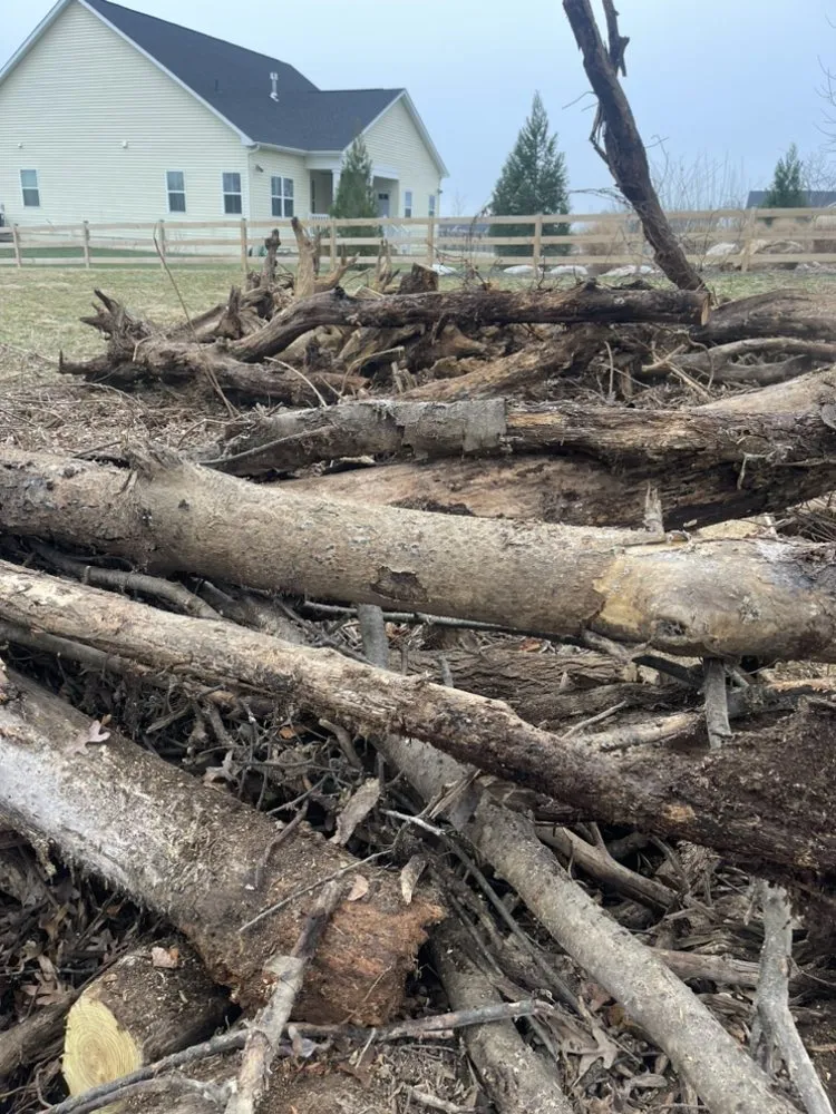 Professional lawn care service experts serving Frederick, MD - Bc landscaping and Paint