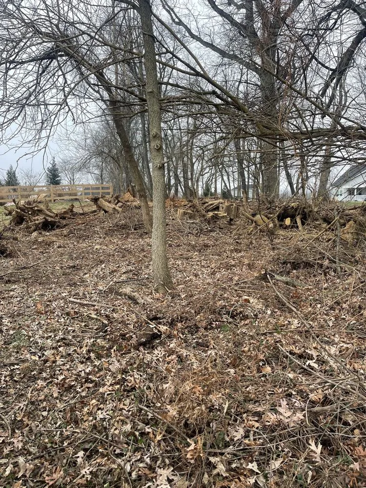 Local landscaping services for outdoor upgrades in Frederick, MD by Bc landscaping and Paint