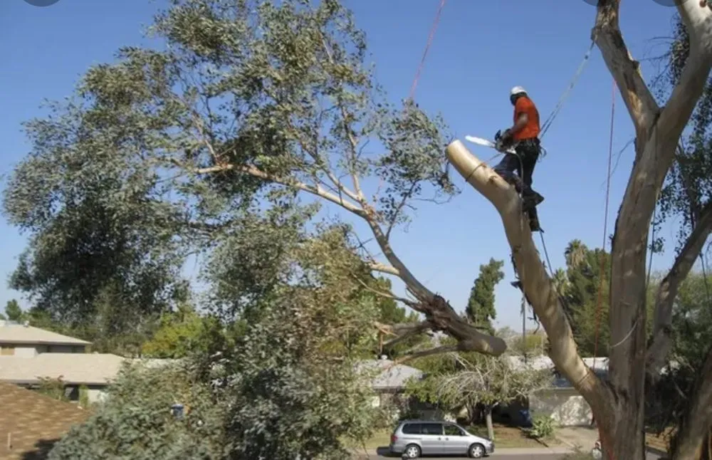 Affordable outdoor landscaping experts serving Frederick, MD - Bc landscaping and Paint