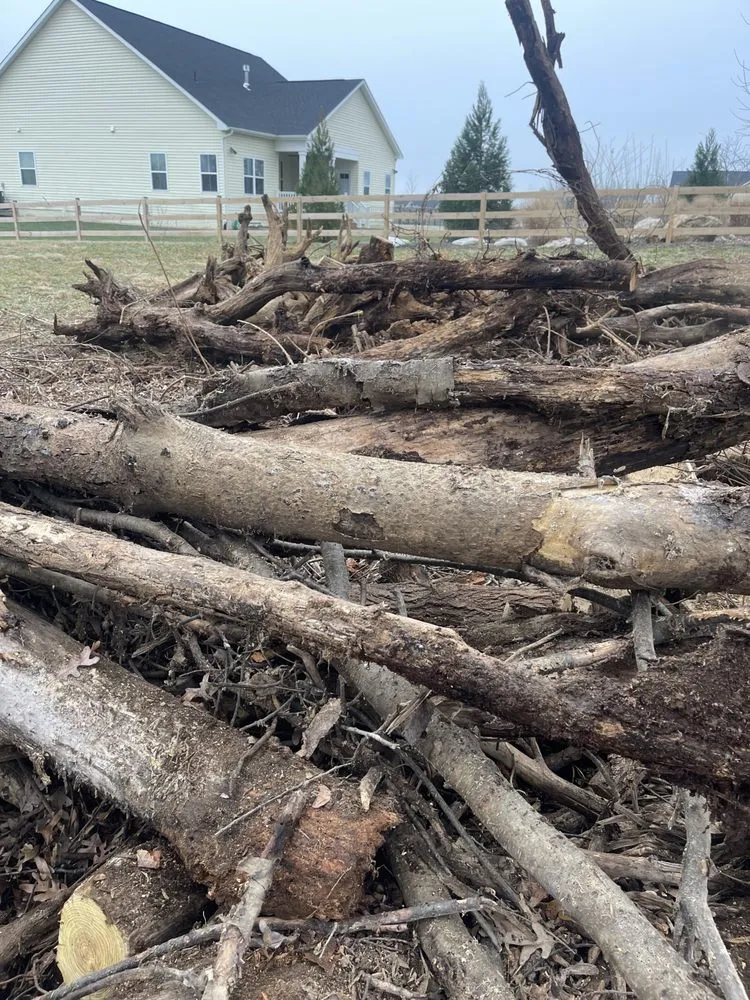 Top-rated residential landscaping in Frederick, MD by Bc landscaping and Paint