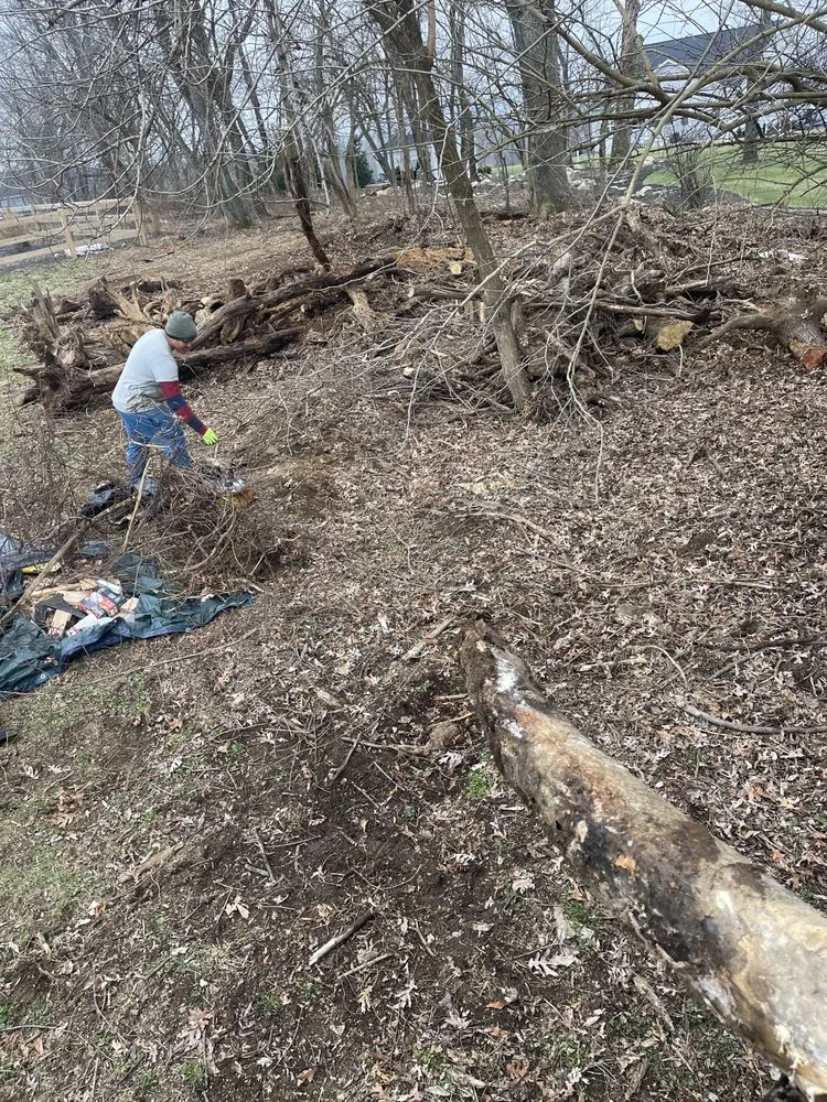 Reliable lawn care service in Frederick, MD by Bc landscaping and Paint