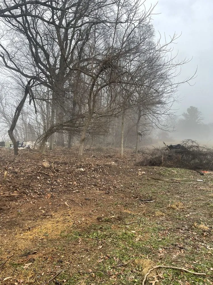 Affordable yard cleanup service near you in Frederick, MD by Bc landscaping and Paint