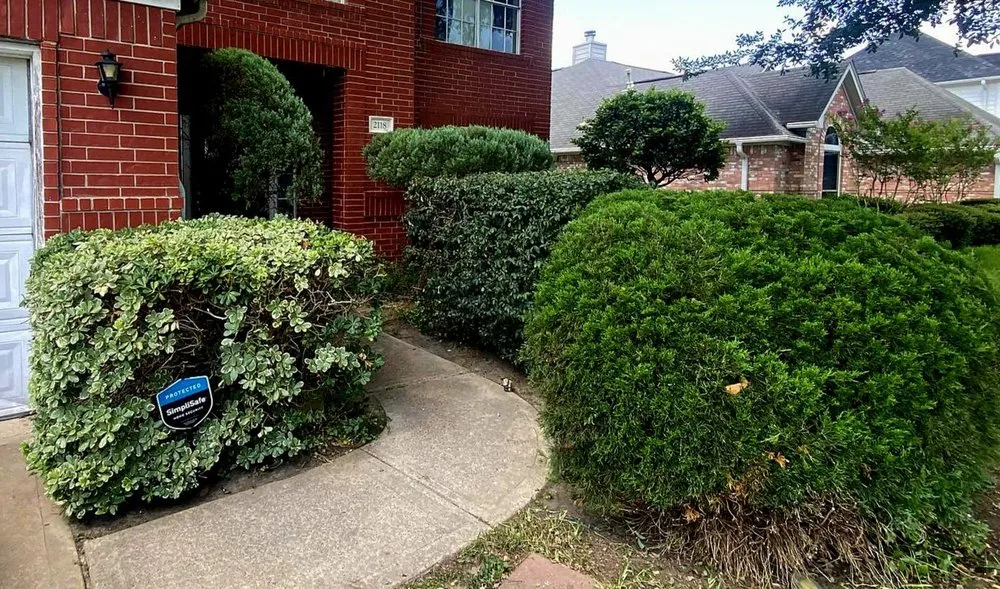 Trusted landscape design for year-round maintenance in Houston, TX by B&C Landscaping