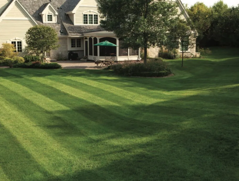 Affordable yard cleanup service experts serving Marshall, WI - Bc Landscaping