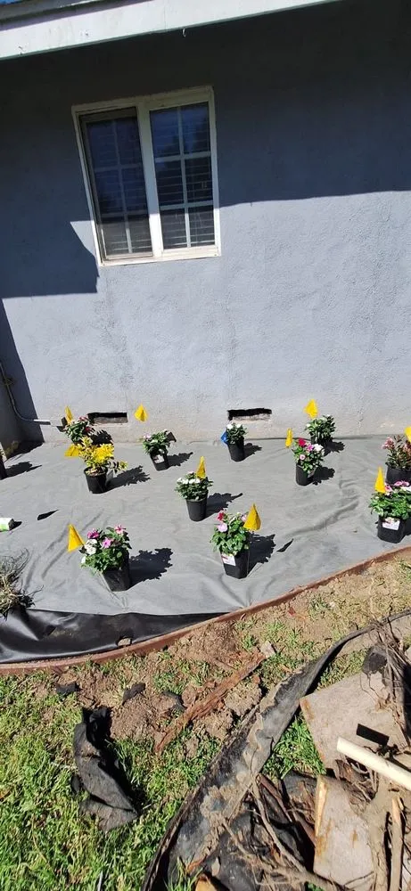 Professional yard maintenance for residential properties across Van Nuys, CA - BC Landscaping Service