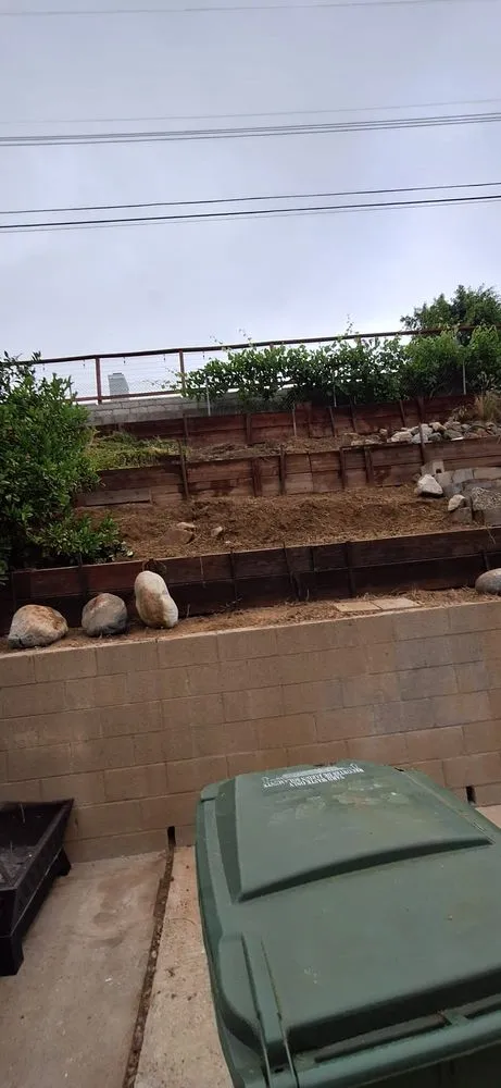 Local landscape design in Van Nuys, CA - BC Landscaping Service