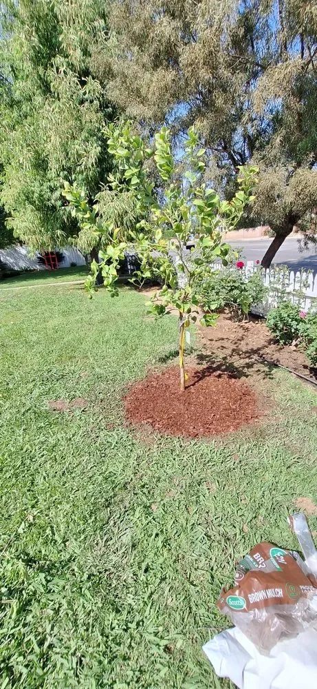 Expert landscape installation in Van Nuys, CA - BC Landscaping Service