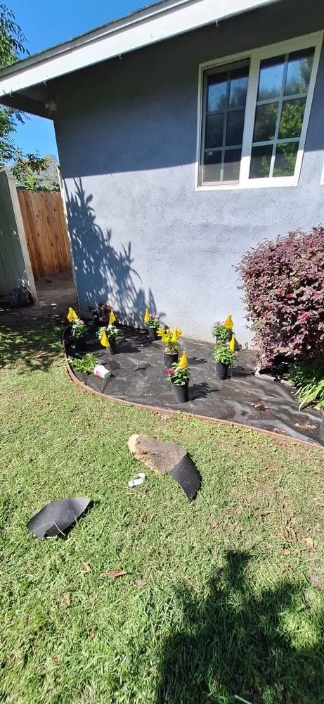 Expert lawn care service experts serving Van Nuys, CA - BC Landscaping Service