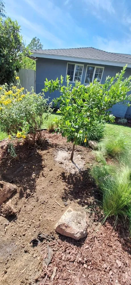 Top-rated lawn mowing service experts serving Van Nuys, CA - BC Landscaping Service