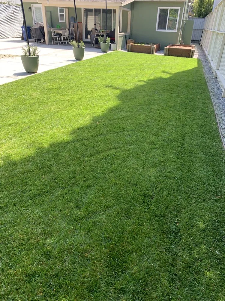 Professional landscape design in Van Nuys, CA by BC Landscaping Service