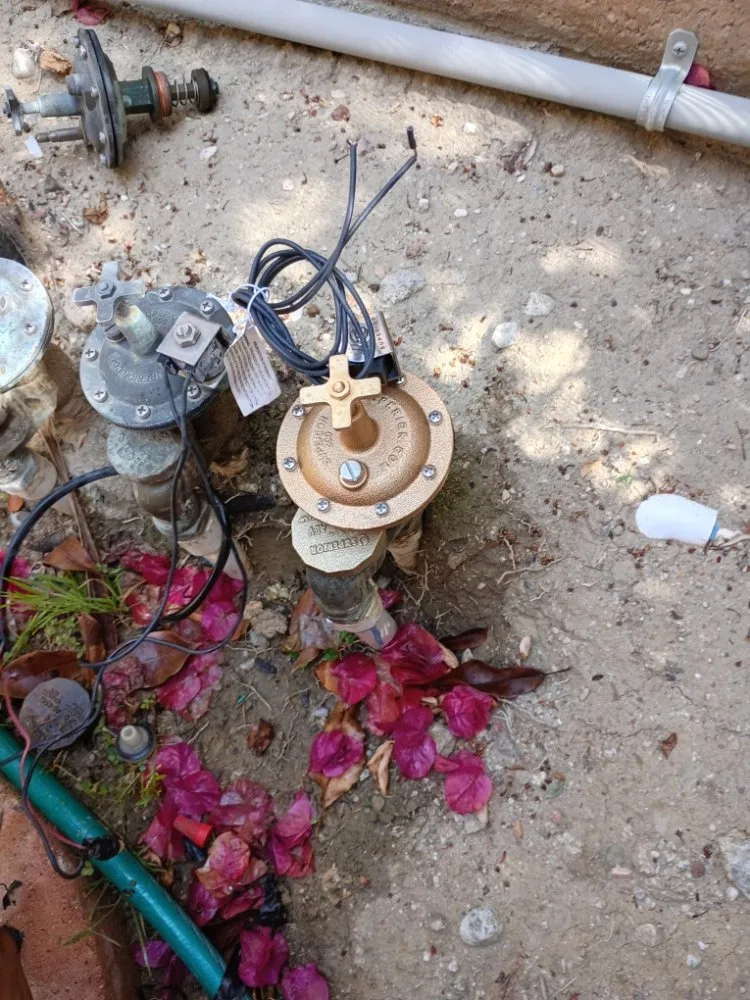 Reliable yard maintenance in Van Nuys, CA by BC Landscaping Service