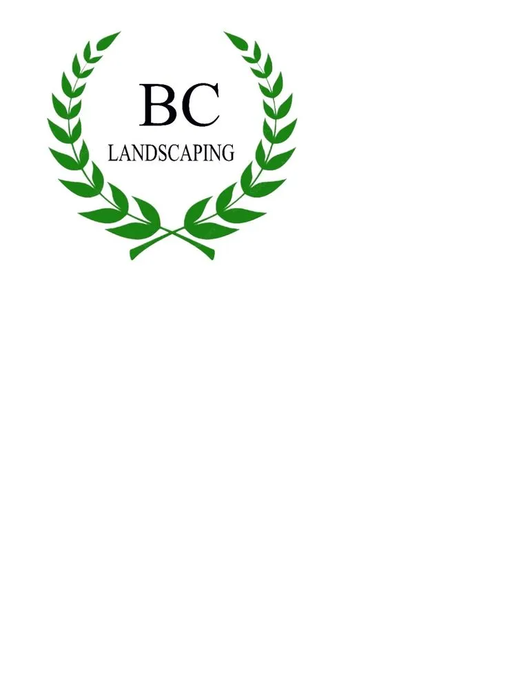 Top-rated lawn care service for outdoor upgrades across Van Nuys, CA - BC Landscaping Service