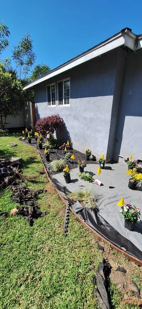 Expert landscaping services for beautiful yards in Van Nuys, CA by BC Landscaping Service