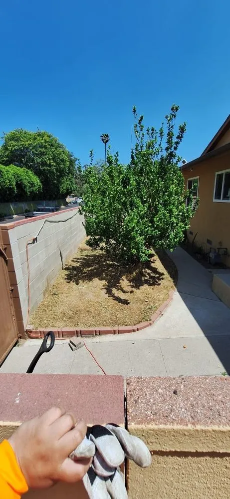Local landscape design for beautiful yards across Van Nuys, CA - BC Landscaping Service