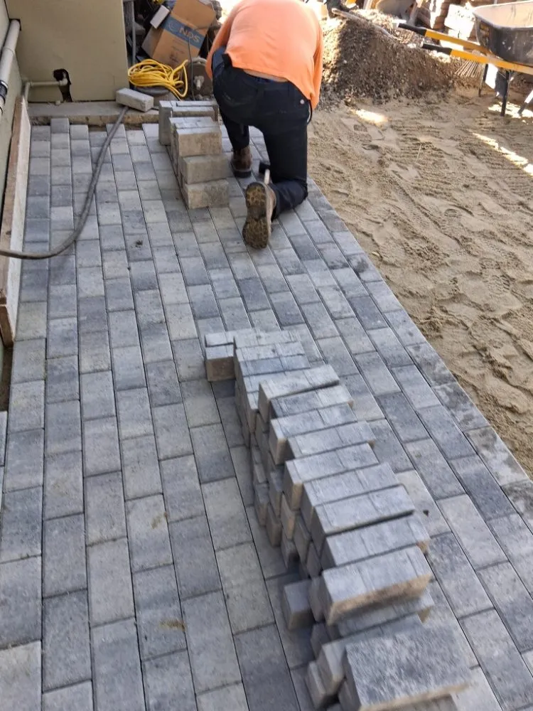 Reliable yard cleanup service near you in Van Nuys, CA by BC Landscaping Service