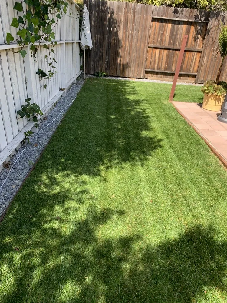 Trusted garden landscaping for beautiful yards across Van Nuys, CA - BC Landscaping Service