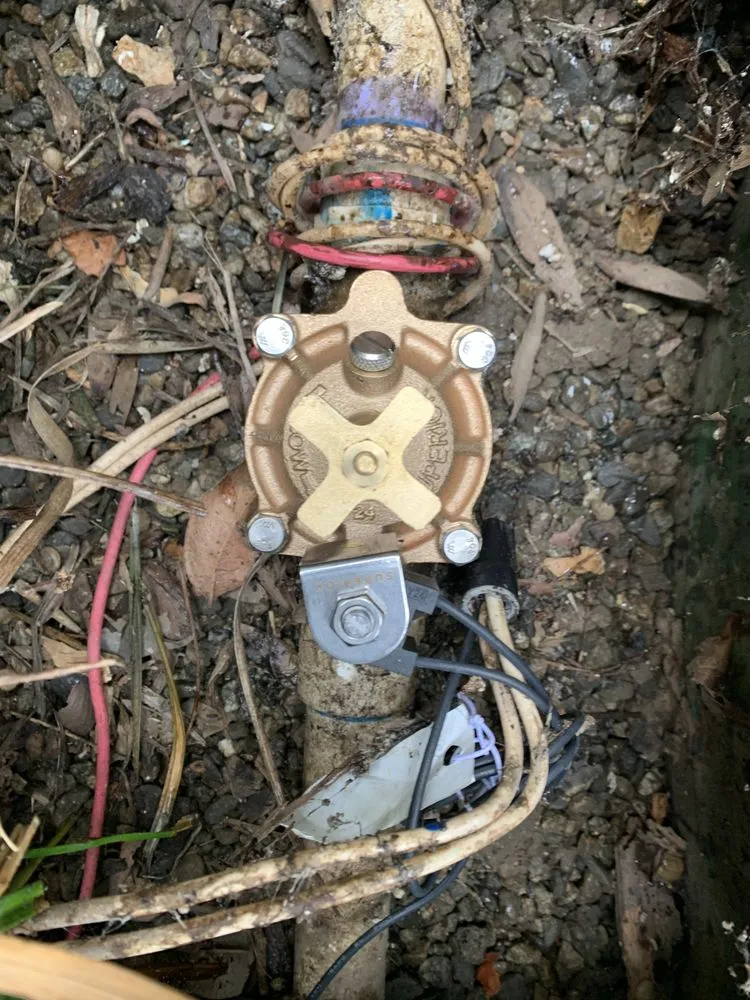 Professional garden landscaping in Van Nuys, CA - BC Landscaping Service