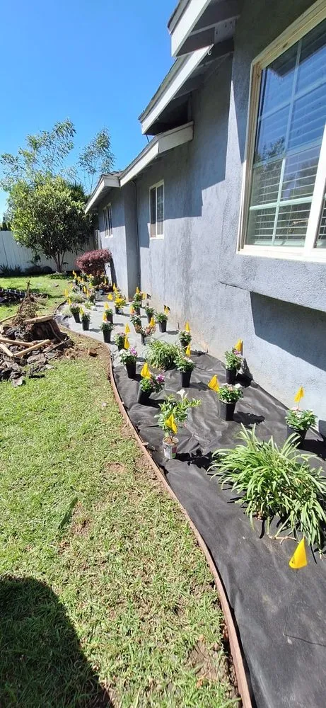 Trusted lawn mowing service with custom design across Van Nuys, CA - BC Landscaping Service