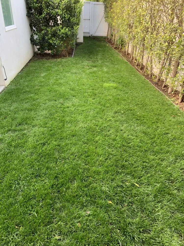 Top-rated residential landscaping for year-round maintenance across Van Nuys, CA - BC Landscaping Service