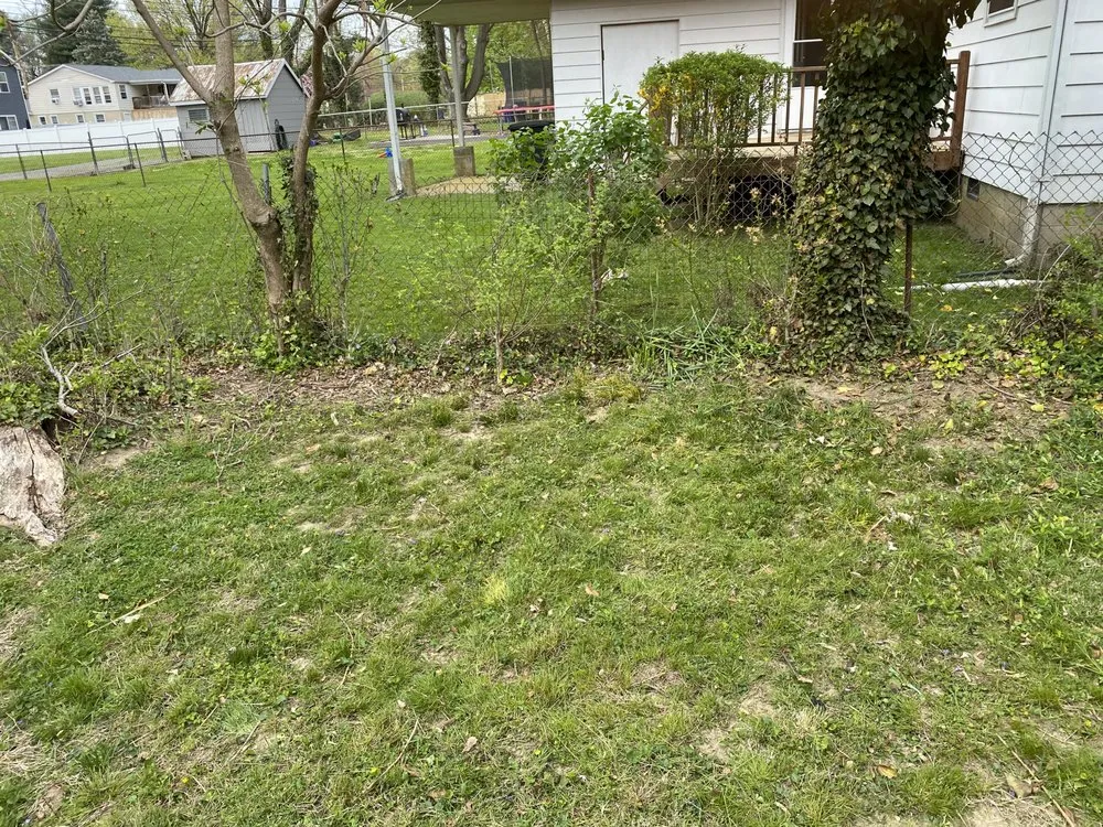 Top-rated yard maintenance near you across Milford, DE - BC Landscaping Services