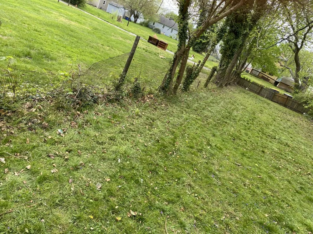 Affordable yard cleanup service in Milford, DE - BC Landscaping Services