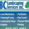 Expert landscape design in West Palm Beach, FL - BC Landscaping Services