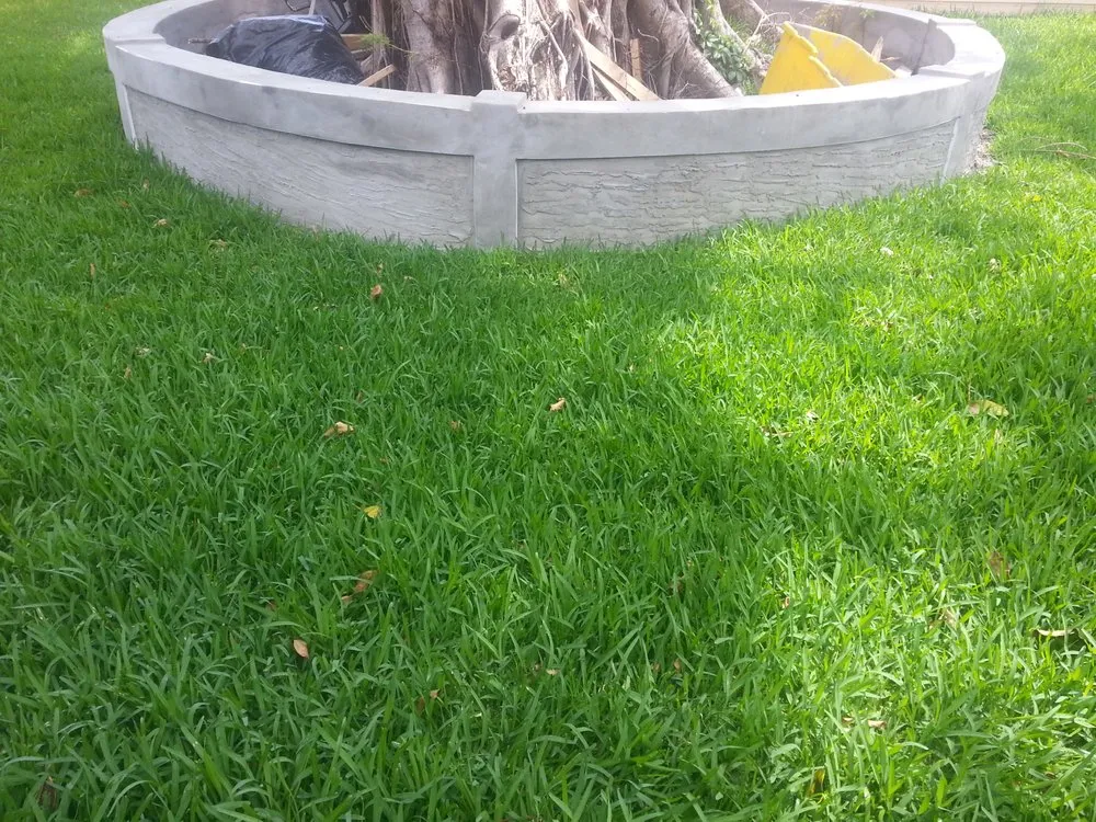 Affordable yard cleanup service for residential properties in West Palm Beach, FL by BC Landscaping Services