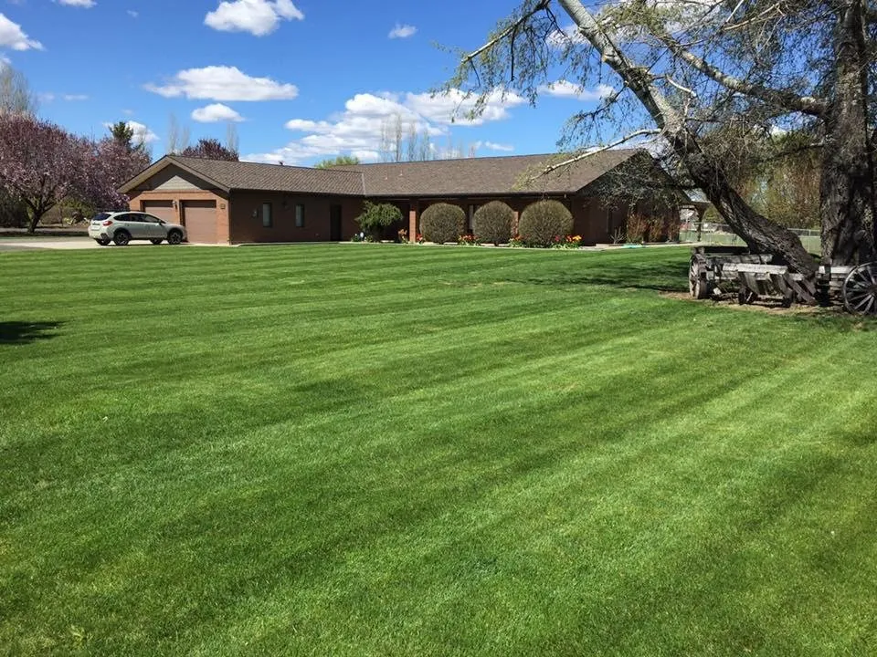 Reliable yard maintenance experts serving Yakima, WA - BC Landscaping