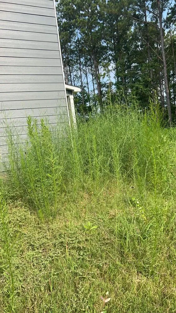 Custom yard maintenance for outdoor upgrades in Lanett, AL by B&C Lawn Care & Landscaping