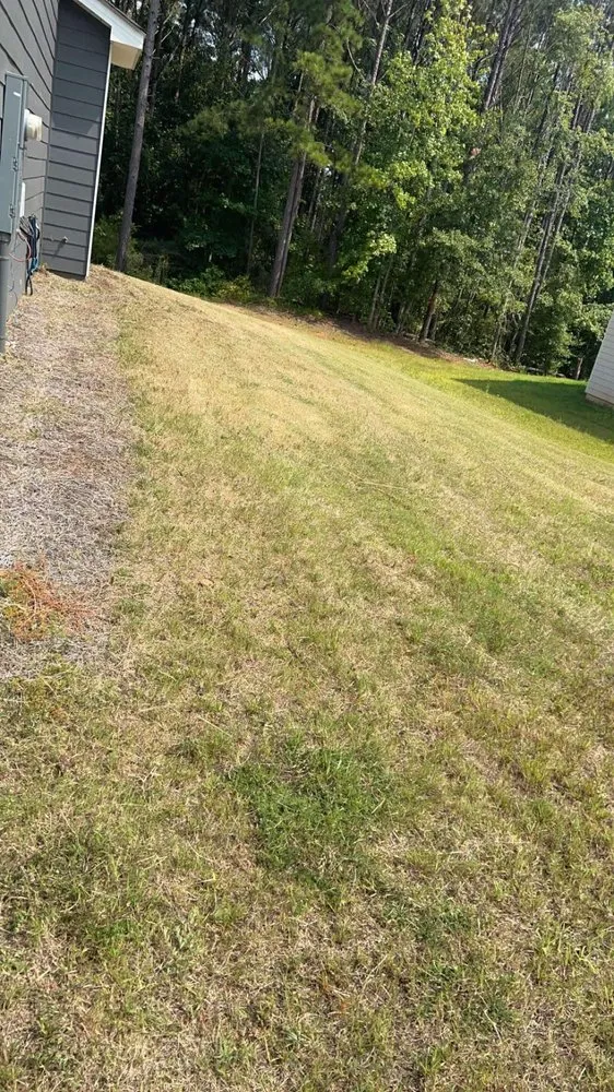 Professional yard maintenance for beautiful yards across Lanett, AL - B&C Lawn Care & Landscaping