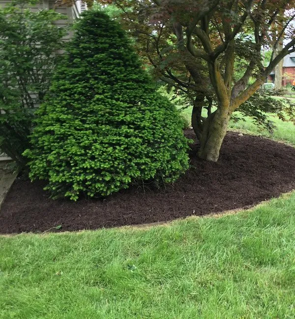 Professional yard maintenance for year-round maintenance in Lapeer, MI by BC Lawn Care and Landscaping