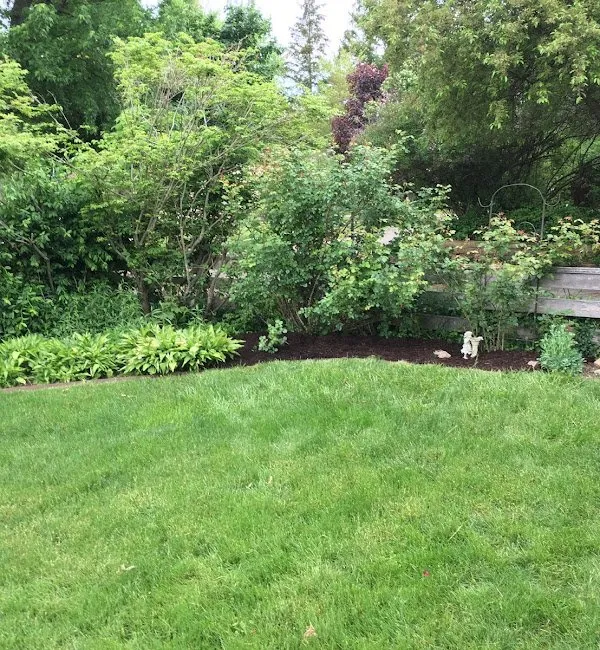 Professional lawn mowing service near you across Lapeer, MI - BC Lawn Care and Landscaping