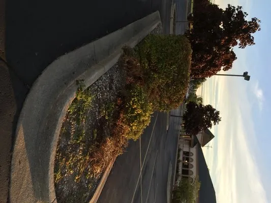 BC Lawn Care and Landscaping