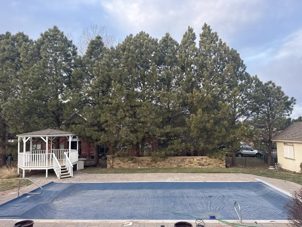 Reliable landscape design experts serving Aurora, CO - BC Lawn Care