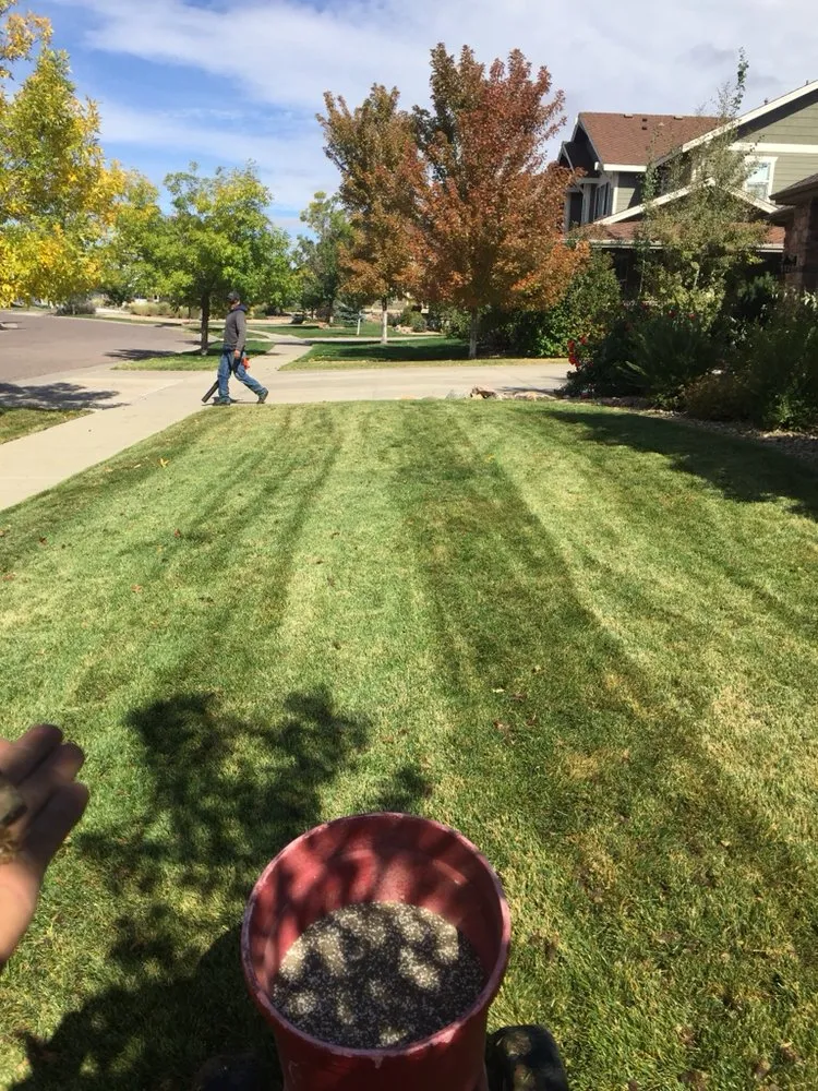 Trusted landscape installation for homes across Aurora, CO - BC Lawn Care