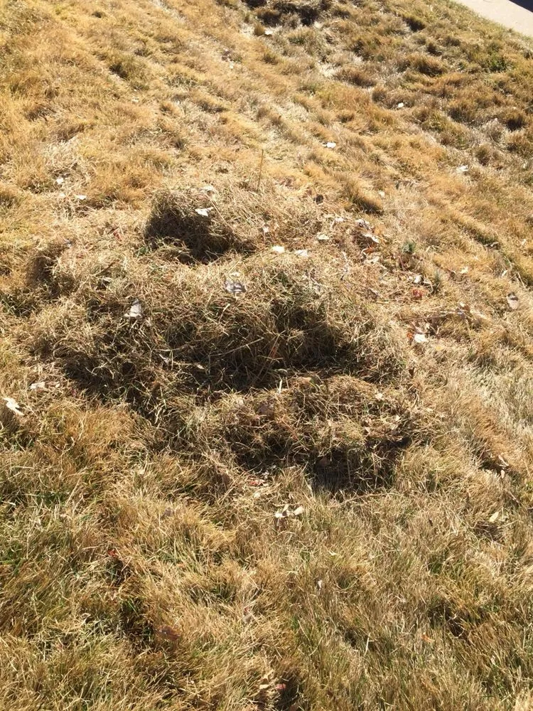 Local garden landscaping experts serving Aurora, CO - BC Lawn Care