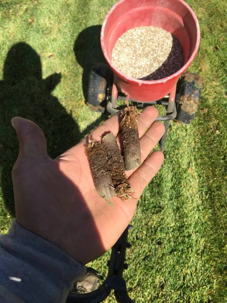 Expert landscape design in Aurora, CO by BC Lawn Care