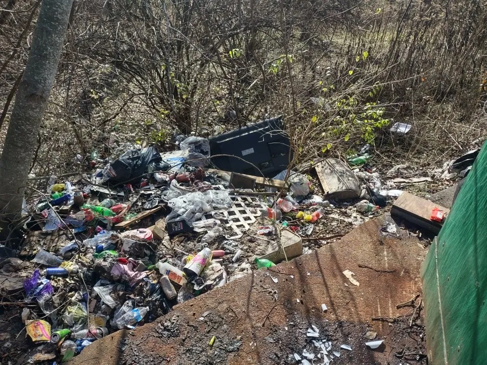 Local lawn mowing service for year-round maintenance in Knoxville, TN by B&C Lawn Care