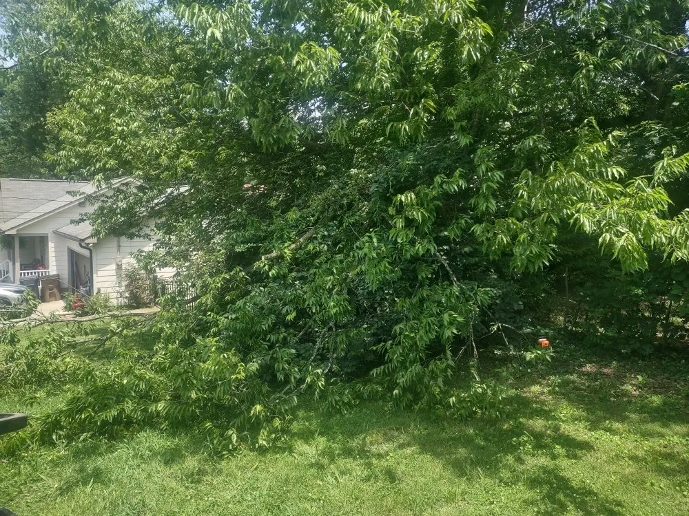 Professional garden landscaping in Knoxville, TN by B&C Lawn Care