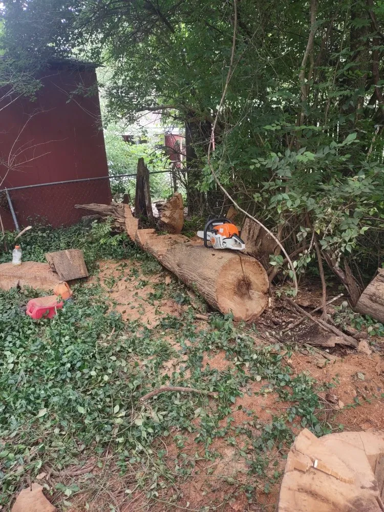 Trusted landscaping services in Knoxville, TN by B&C Lawn Care