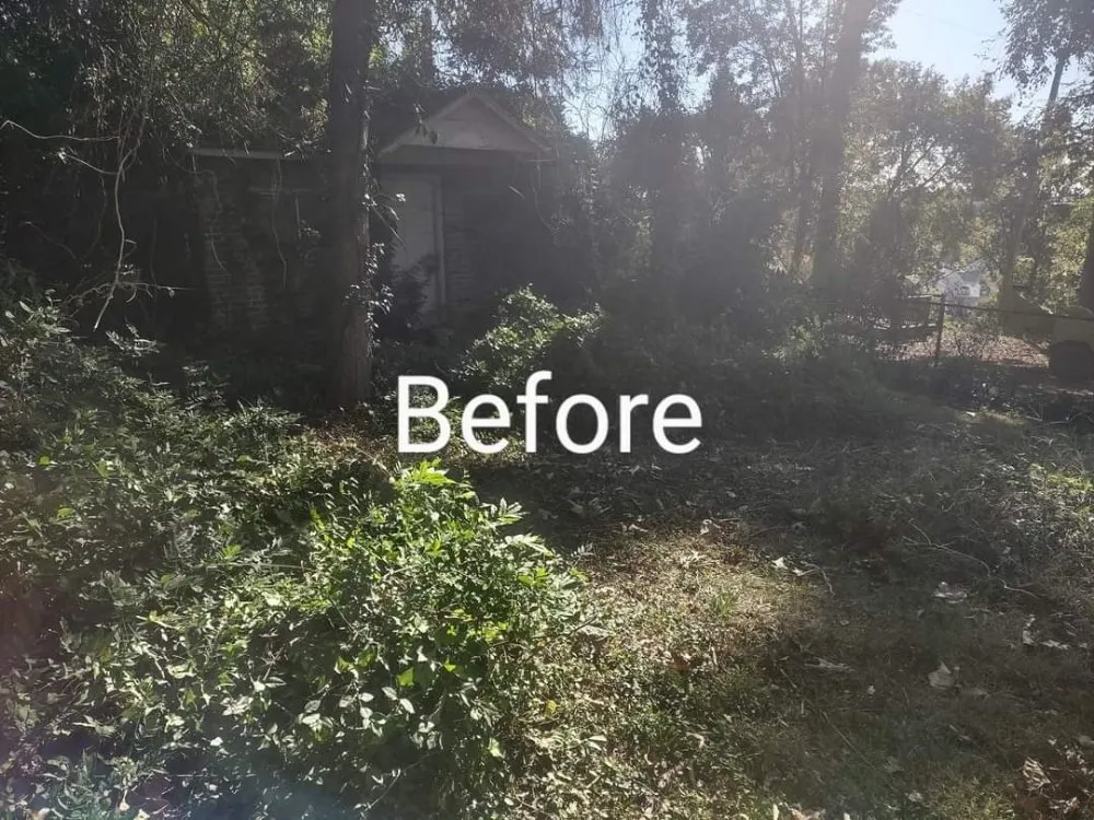 Affordable lawn care service in Knoxville, TN - B&C Lawn Care