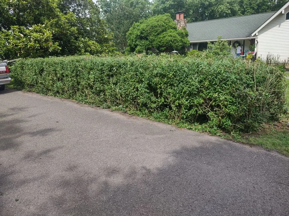 Professional yard cleanup service near you across Knoxville, TN - B&C Lawn Care