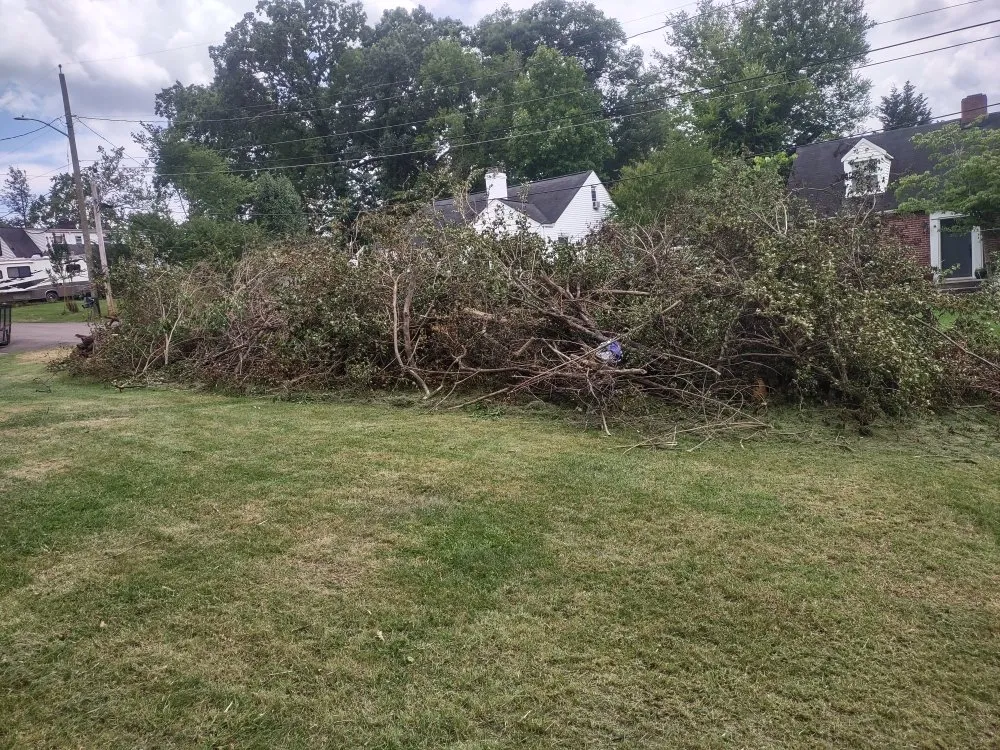 Custom yard cleanup service for outdoor upgrades in Knoxville, TN by B&C Lawn Care